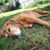 Sarah Riley's profile image
