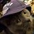 Tina Ensslin's profile image