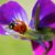 Jennifer Henderson Murphy's profile image