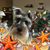 Patty Parker Trantham's profile image