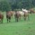 Jane Stites's profile image