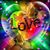 Cindy Lester Gillis's profile image