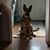 Sherry Lynn Oswald's profile image