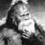 Jim Harper's profile image
