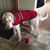 Carol Myers Wohlwend's profile image