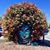 Dana Collesar's profile image