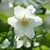 Teresa LeFever's profile image