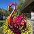 Sally Gobrecht's profile image