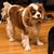 Ruth Godo's profile image