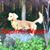 Beaumont Coops's profile image