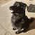 Allyson Serbousek's profile image