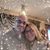 Tina Gray's profile image