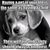 Gary Olney's profile image
