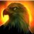 Chip Eddy's profile image