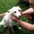 Elaine Kuehnle Walton's profile image