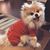Roz Weir Rogers's profile image