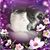 Melina Bott's profile image