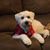 Cheryl Seeley's profile image