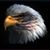 Barry Secrest's profile image