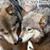 Elaine M Benavides's profile image