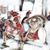 Cheryl Amsden's profile image