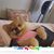 Charlotte Ellis's profile image
