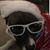 Lynette Weessies Tuttle's profile image