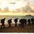 Brooks Hegge's profile image