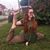 Samantha Nicole's profile image