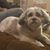 Pam Rathbun's profile image