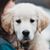 Angela Longnecker's profile image