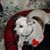 Rosi Walsh's profile image