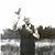 Duane Branger's profile image