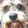 Analisa O.'s profile image