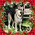 Christina Vandre's profile image