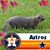 Tracey Hunter Vacek's profile image