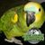 Tandy Gilmour's profile image