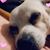 Stephanie Vicky Faz's profile image