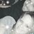 Lauren Patricia Monday's profile image