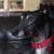 Wendy Hecht's profile image