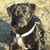 Mary Sinderson's profile image