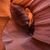 Tiffany Ann Guerin's profile image