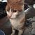 Tammy Duppstadt Hooker's profile image