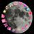 Luna Moon's profile image