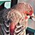 Kathy Yarbrough Franklin's profile image