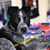 Jeanette M Webster's profile image