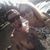 JakeShannon Welch's profile image