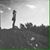 Laura Casey's profile image