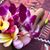 Zondra Gonzales's profile image