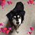 Loretta Lauer's profile image